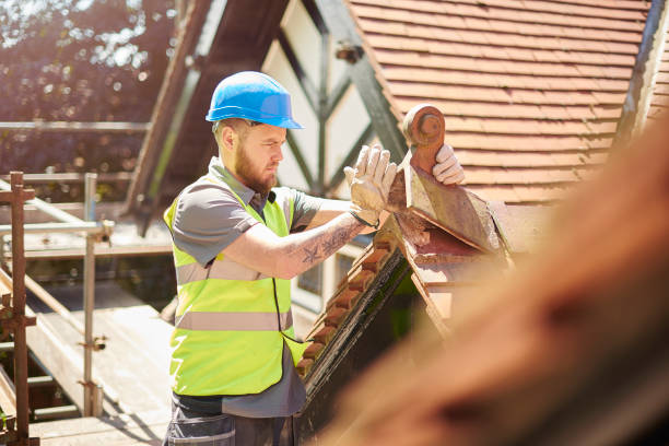 Best Roof Gutter Cleaning  in Tenafly, NJ